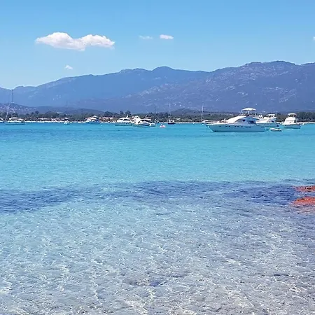 2 People With Air Conditioning Near Porto Vecchio From 49 Day Lägenhet