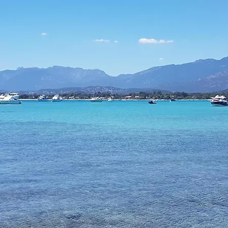 2 People With Air Conditioning Near Porto Vecchio From 49 Day Lägenhet Zonza